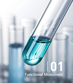 Functional Monomers