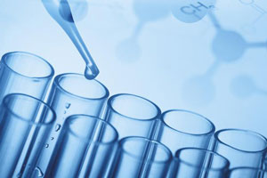 Functional Monomers